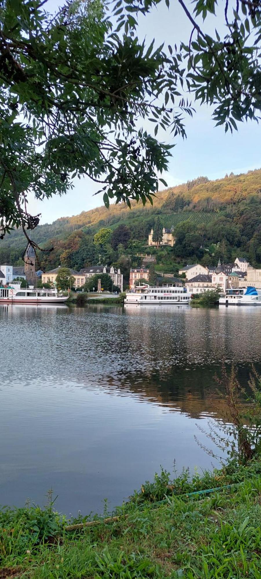 Wilk Apartment Traben-Trarbach